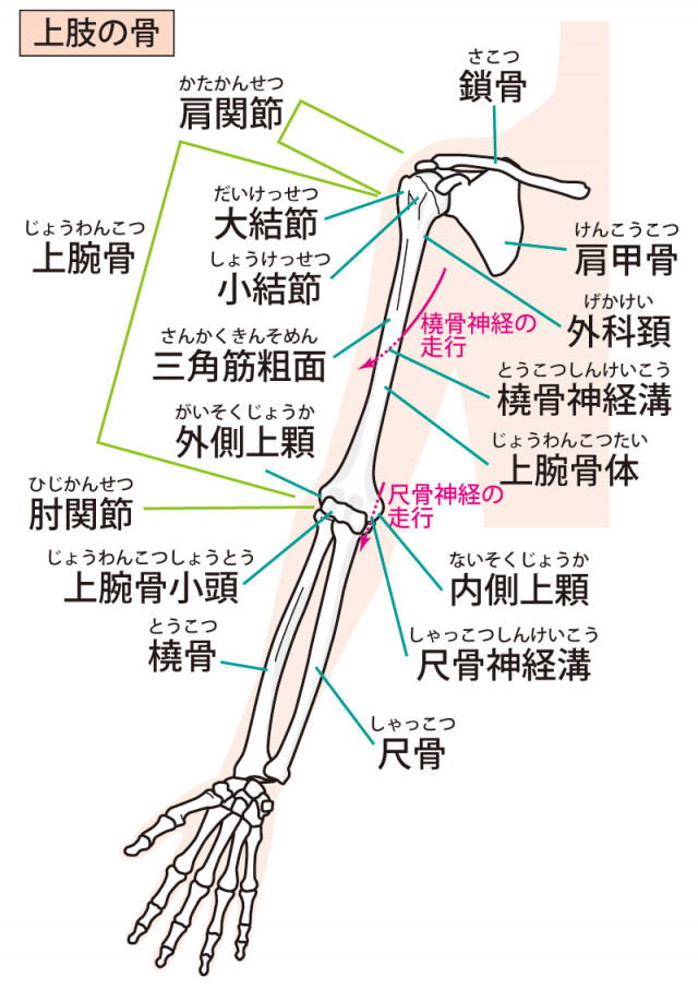 手首の痛みの改善法