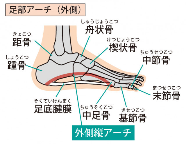 外反母趾への当院のアプローチは？