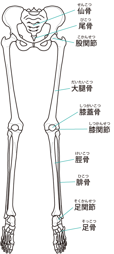 オスグッドへの当院のアプローチは？